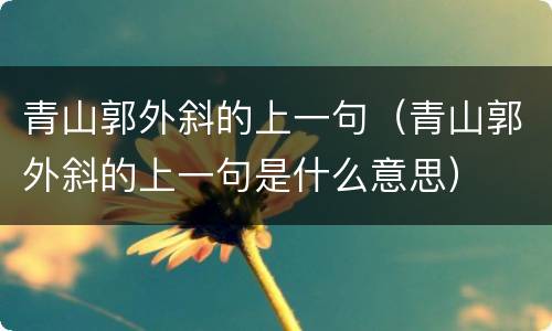 青山郭外斜的上一句（青山郭外斜的上一句是什么意思）