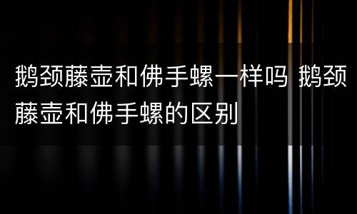 鹅颈藤壶和佛手螺一样吗 鹅颈藤壶和佛手螺的区别
