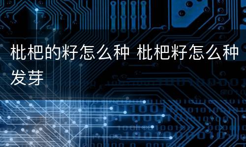 枇杷的籽怎么种 枇杷籽怎么种发芽