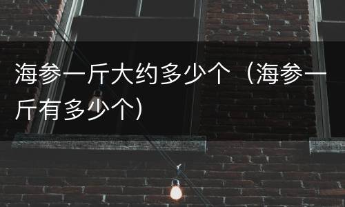 海参一斤大约多少个（海参一斤有多少个）
