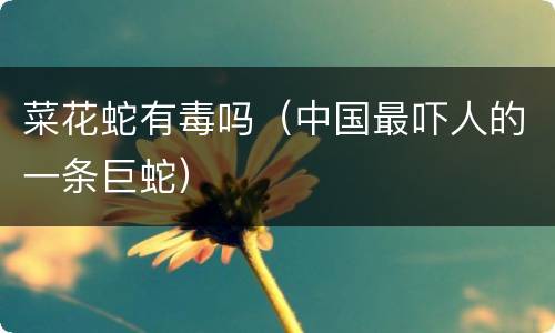 菜花蛇有毒吗（中国最吓人的一条巨蛇）