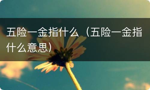 五险一金指什么（五险一金指什么意思）