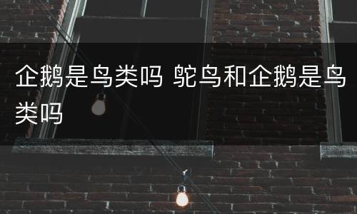 企鹅是鸟类吗 鸵鸟和企鹅是鸟类吗