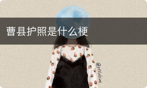 曹县护照是什么梗
