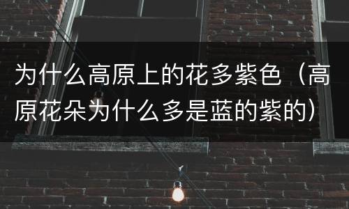为什么高原上的花多紫色（高原花朵为什么多是蓝的紫的）
