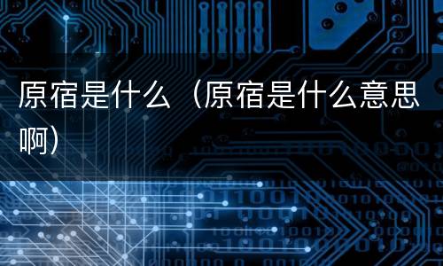 原宿是什么（原宿是什么意思啊）