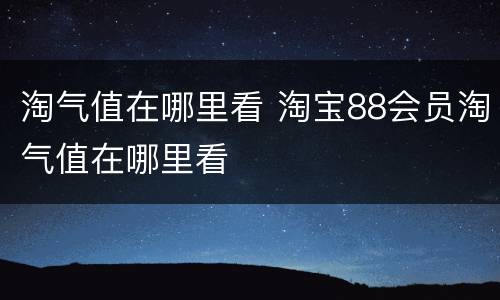 淘气值在哪里看 淘宝88会员淘气值在哪里看
