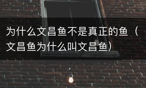 为什么文昌鱼不是真正的鱼（文昌鱼为什么叫文昌鱼）