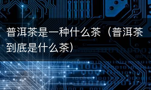 普洱茶是一种什么茶（普洱茶到底是什么茶）