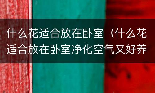 什么花适合放在卧室（什么花适合放在卧室净化空气又好养）