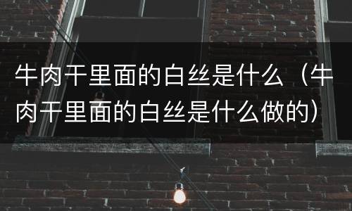 牛肉干里面的白丝是什么（牛肉干里面的白丝是什么做的）