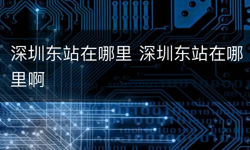 深圳东站在哪里 深圳东站在哪里啊