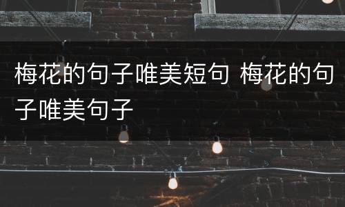 梅花的句子唯美短句 梅花的句子唯美句子