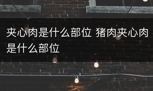 夹心肉是什么部位 猪肉夹心肉是什么部位