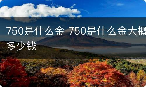 750是什么金 750是什么金大概多少钱