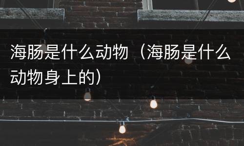 海肠是什么动物（海肠是什么动物身上的）
