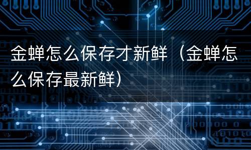 金蝉怎么保存才新鲜（金蝉怎么保存最新鲜）