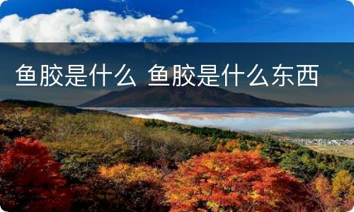 鱼胶是什么 鱼胶是什么东西