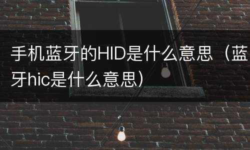 手机蓝牙的HID是什么意思（蓝牙hic是什么意思）