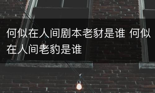 何似在人间剧本老豺是谁 何似在人间老豹是谁