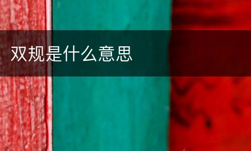 双规是什么意思