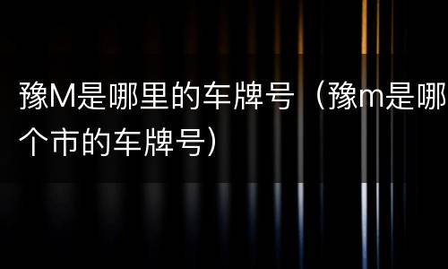 豫M是哪里的车牌号（豫m是哪个市的车牌号）