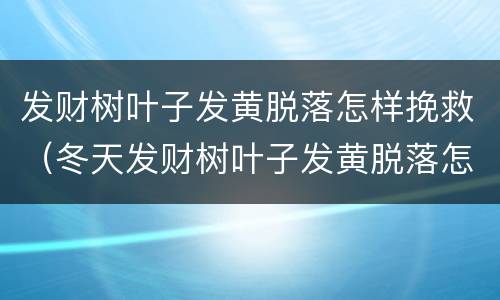 发财树叶子发黄脱落怎样挽救（冬天发财树叶子发黄脱落怎样挽救）