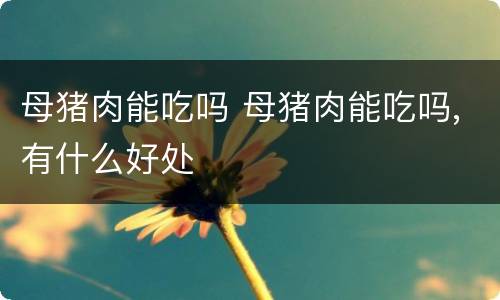 母猪肉能吃吗 母猪肉能吃吗,有什么好处