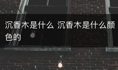 沉香木是什么 沉香木是什么颜色的