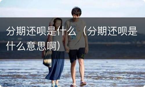 分期还呗是什么（分期还呗是什么意思啊）