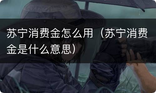 苏宁消费金怎么用（苏宁消费金是什么意思）