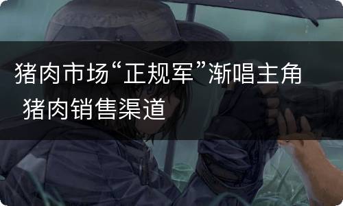 猪肉市场“正规军”渐唱主角 猪肉销售渠道