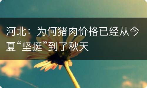 河北：为何猪肉价格已经从今夏“坚挺”到了秋天