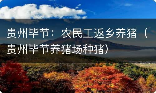 贵州毕节：农民工返乡养猪（贵州毕节养猪场种猪）