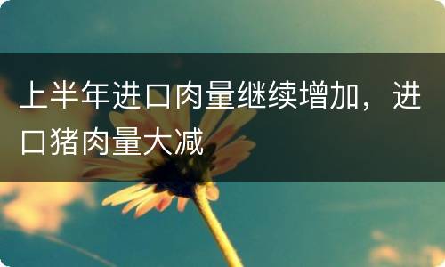 上半年进口肉量继续增加，进口猪肉量大减