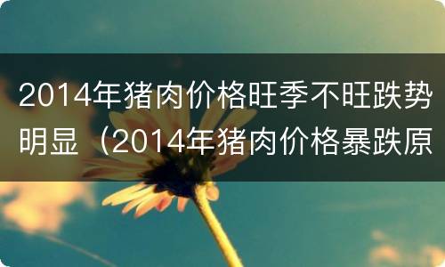 2014年猪肉价格旺季不旺跌势明显（2014年猪肉价格暴跌原因）
