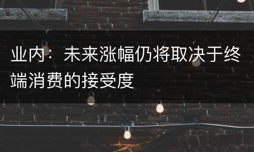 业内：未来涨幅仍将取决于终端消费的接受度