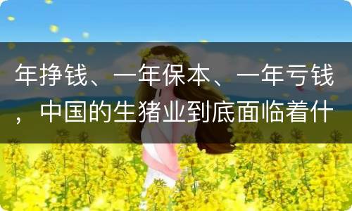 年挣钱、一年保本、一年亏钱，中国的生猪业到底面临着什么样的困