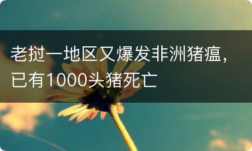 老挝一地区又爆发非洲猪瘟，已有1000头猪死亡