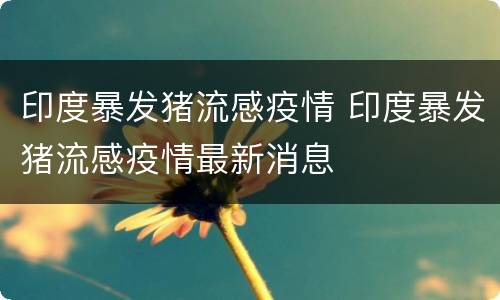 印度暴发猪流感疫情 印度暴发猪流感疫情最新消息