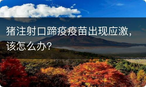 猪注射口蹄疫疫苗出现应激，该怎么办？