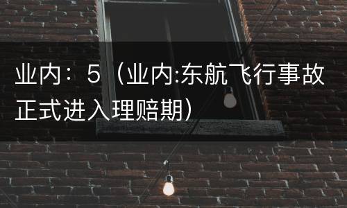 业内：5（业内:东航飞行事故正式进入理赔期）