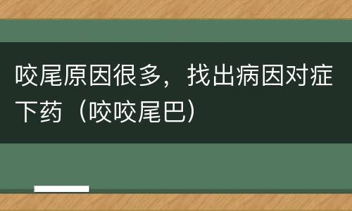 咬尾原因很多，找出病因对症下药（咬咬尾巴）