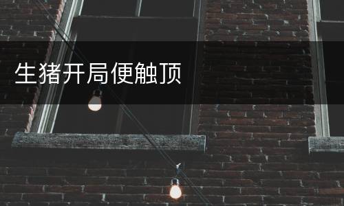 生猪开局便触顶