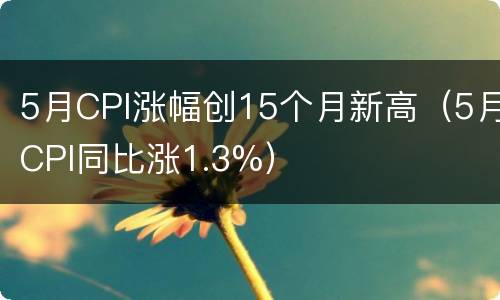 5月CPI涨幅创15个月新高（5月CPI同比涨1.3%）