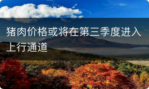 猪肉价格或将在第三季度进入上行通道