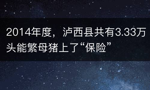 2014年度，泸西县共有3.33万头能繁母猪上了“保险”
