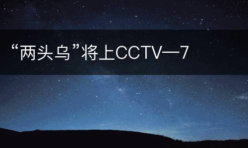 “两头乌”将上CCTV—7