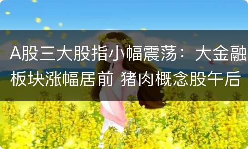 A股三大股指小幅震荡：大金融板块涨幅居前 猪肉概念股午后跳水