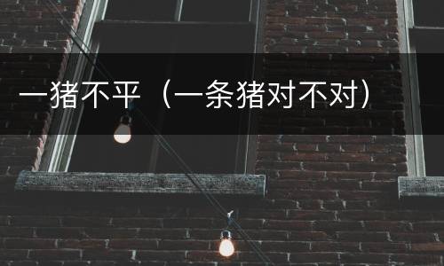 一猪不平（一条猪对不对）